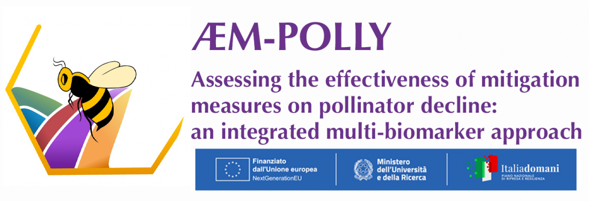 Assessing the effectiveness of mitigation measures on pollinator decline: an integrated multi-biomarker approach